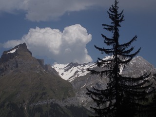 P6092491
