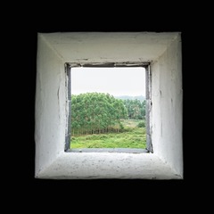 109782