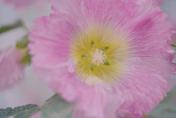 60CA8EFA-1E3C-4037-AFA9-705BA5D31955/L0/001