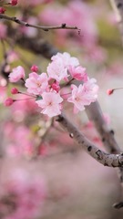 6F957057-37D0-4B6E-BD51-B461223EC183/L0/001
