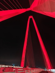 1000025361