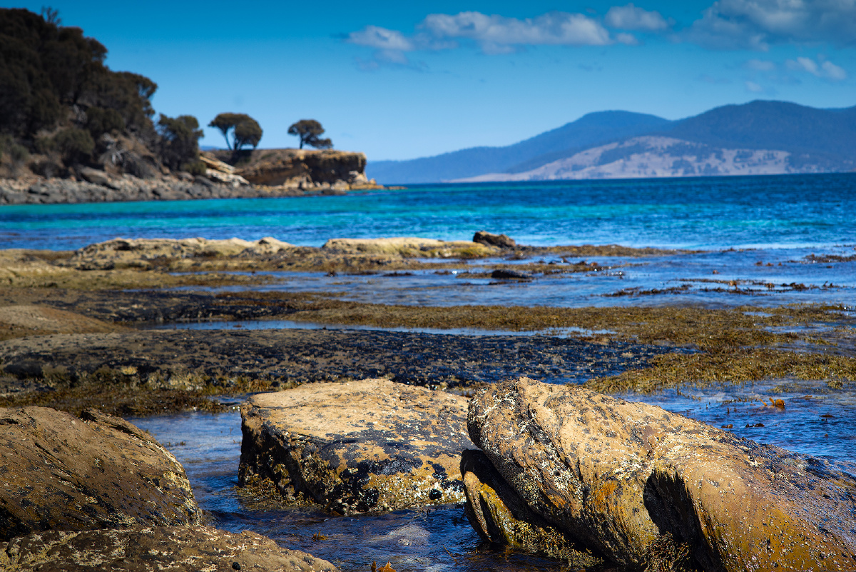 礁石滩摄于塔斯马尼亚