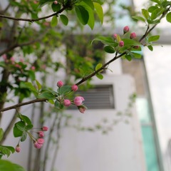 6171226B-DB12-444B-8C71-C62D8D3BDDC2/L0/001