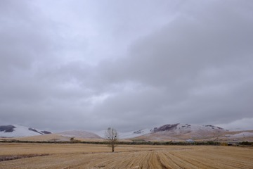 5989D047-3267-4EB1-A35E-A84B893635B3/L0/001