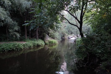 07868F35-FD1B-4907-8D72-FDE98F266D6B/L0/001