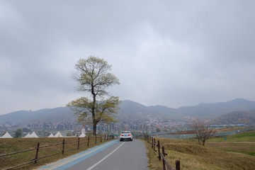 2454F618-FE17-4049-A084-A85DCF7A9C75/L0/001