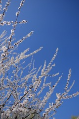 56E239C7-2B38-4ACD-81C9-B56EDDD3BA57/L0/001