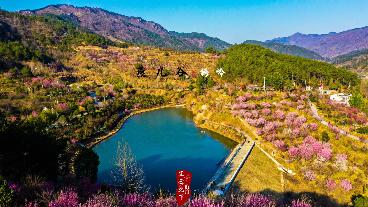 春有约花不误年年岁岁不相负燕儿谷梅岭之约