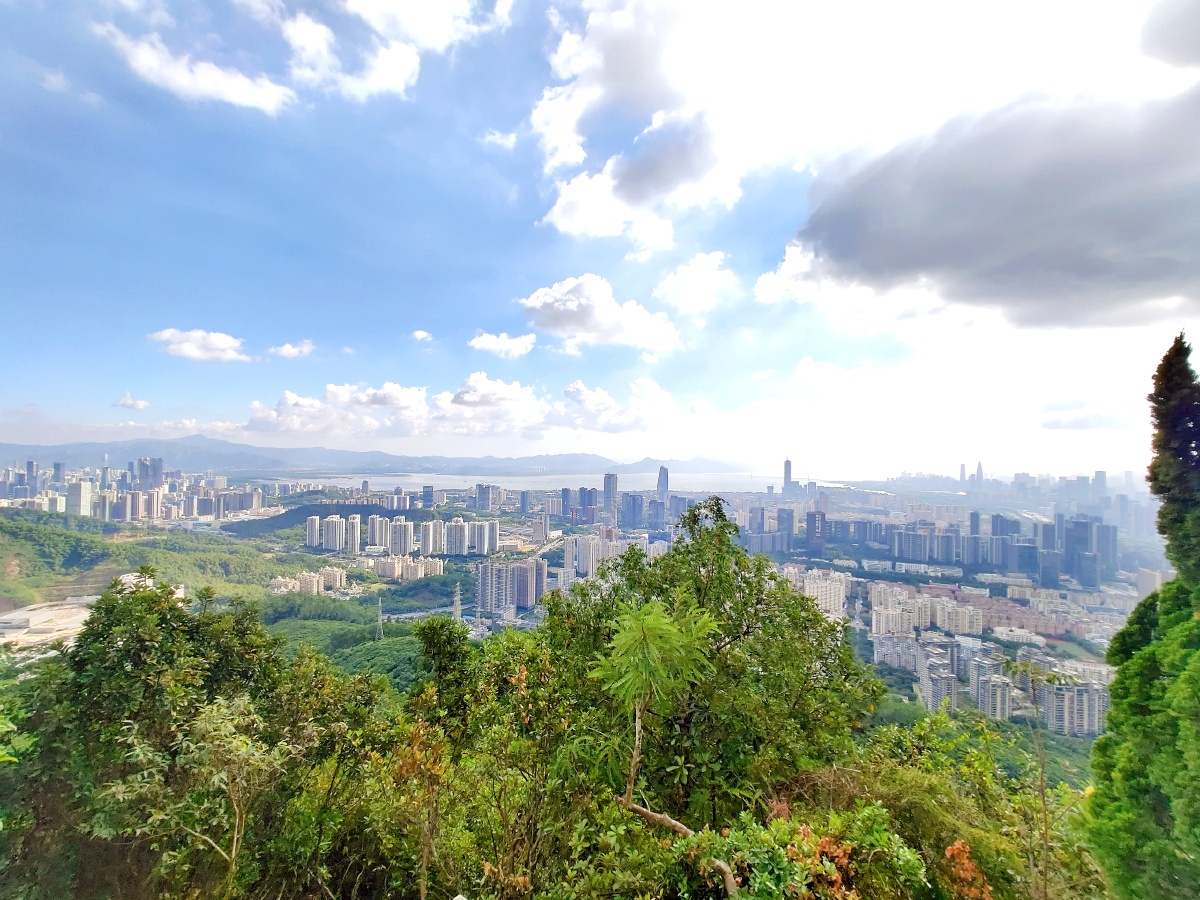 深圳塘朗山公园,山顶视野开阔,一览无余! - 雪青岚