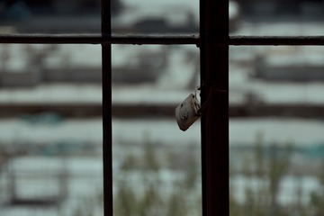 001