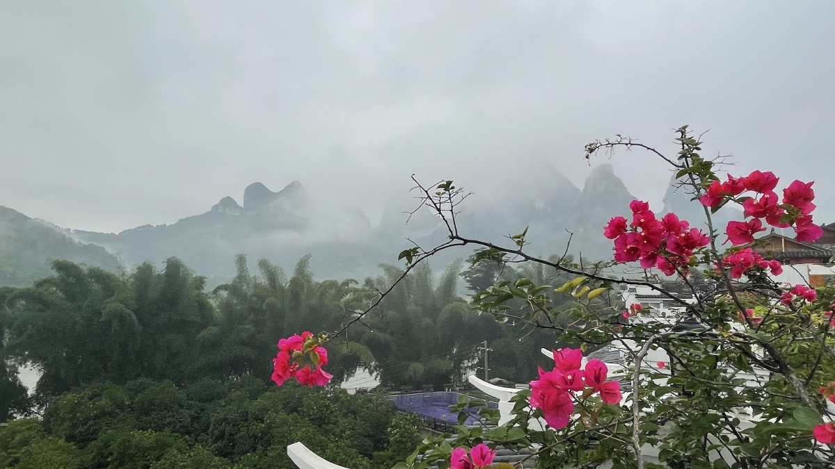 红花需要绿叶和山水相衬