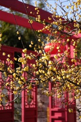 8A58339B-8EEF-4284-979D-80228F20CBCB/L0/001
