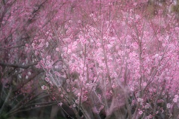 478FE343-5BFC-434E-991D-D55D32E6F4A1/L0/001