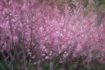 755485B2-28EF-430A-B195-FCDFF7CB24F2/L0/001