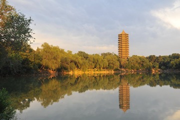DSC_0269.JPG