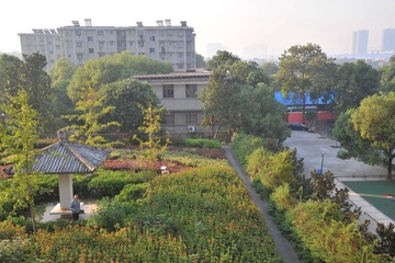 DSC_1583.JPG