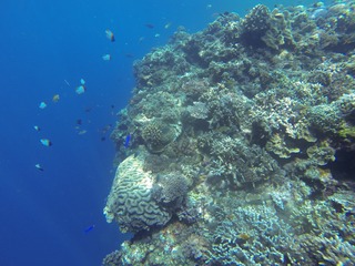 GOPR2976