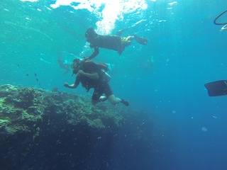 GOPR2981
