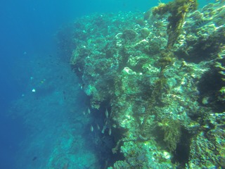 GOPR2987
