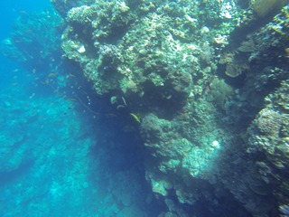 GOPR2992