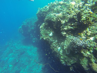 GOPR2993
