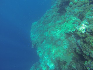 GOPR2995