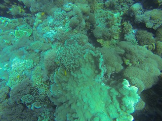 GOPR2997