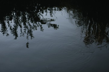 4569001