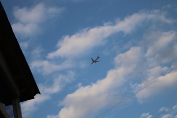 3655019