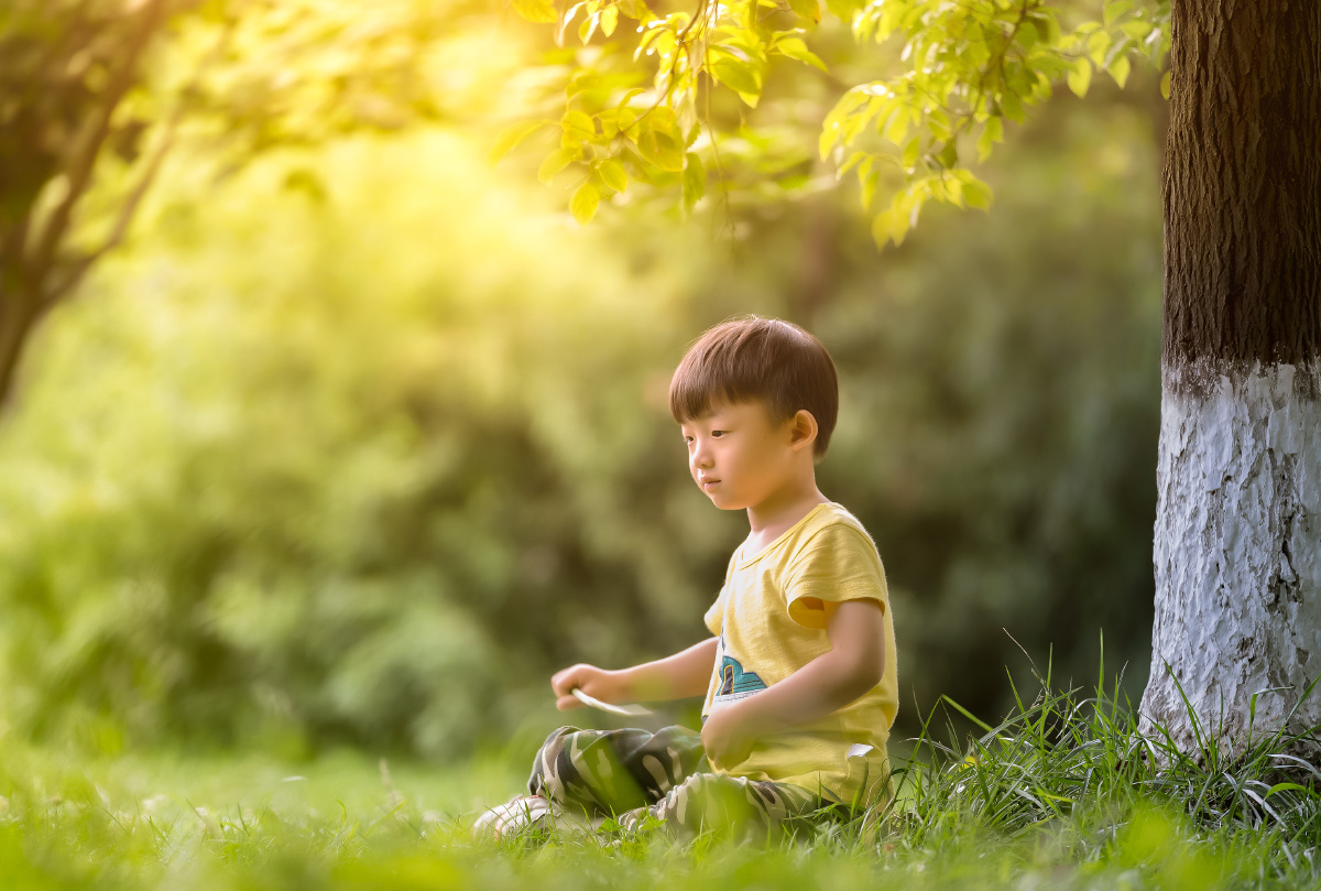 树比较高小孩子坐在树下头顶空空的没有树叶不好看用了两张合成同一机