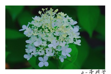9CA5736F-ABD1-47DC-AE5A-7D80FB59B477/L0/001