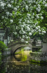 刘甲颖-春光-2021-13913865455