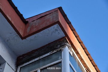 B9136287-E841-4FE8-B7FC-90076C55452C/L0/001