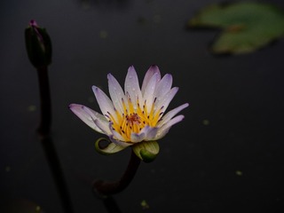 1000003101