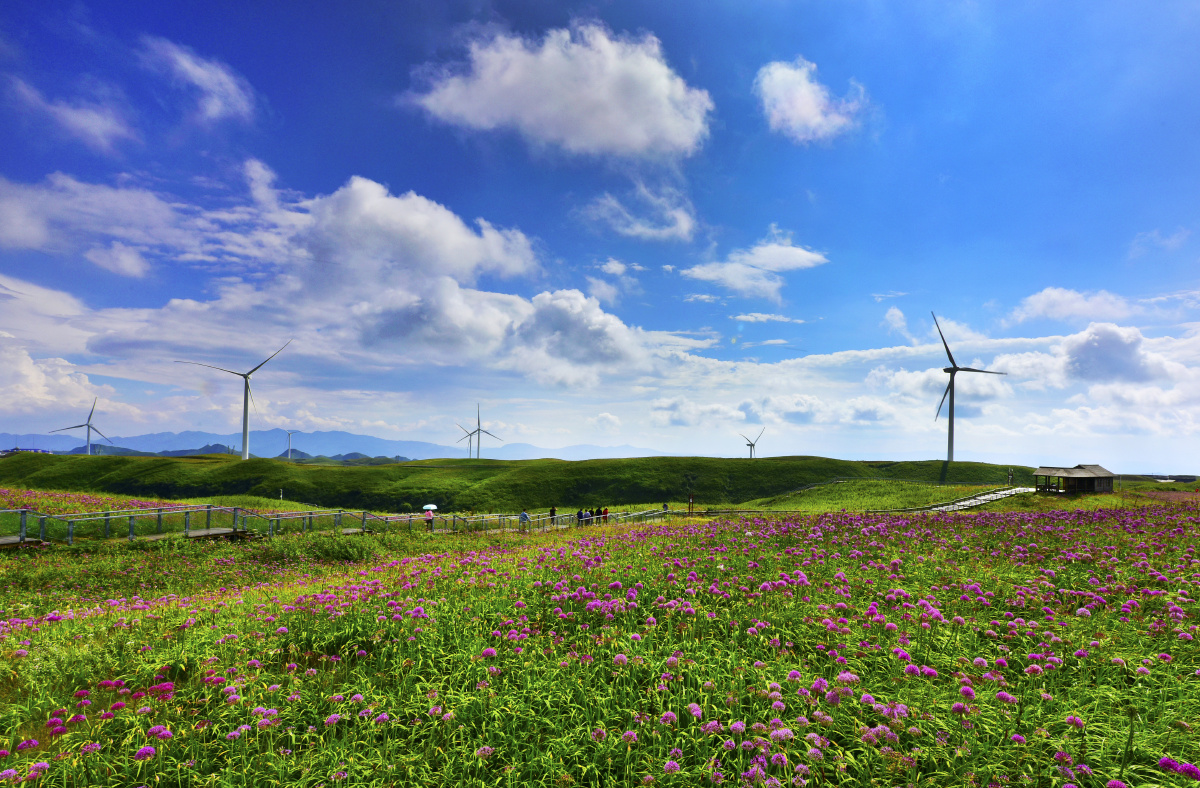 阿西里西韭菜坪风光