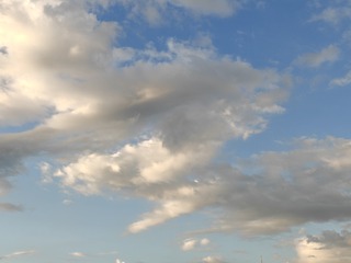1000010081