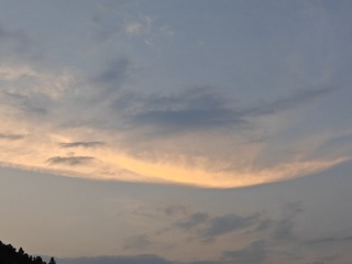1000010224