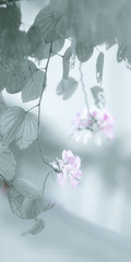 DSC02991-1