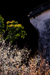 DSC07959-1