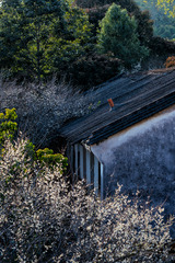 DSC07968-1