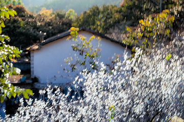 DSC07996-1