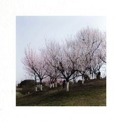 134609FE-0752-4BC6-B50C-6C8A92689938/L0/001