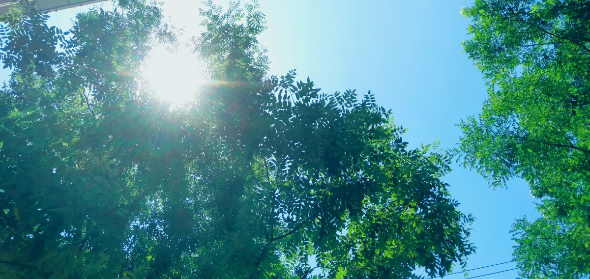 正午阳光总是这么美