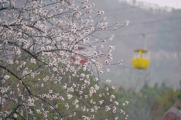 B0007CBB-C107-439F-AE95-AF85257036F5/L0/001