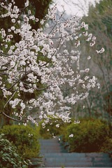 8D329A6E-F5A2-40E4-AB81-113003EAA8B6/L0/001