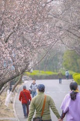 EC0CEF92-4C4C-4006-BA23-42CC776F06CC/L0/001