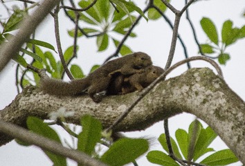 DSC_0703_1