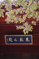 495F4C4C-377F-498E-9961-105640BC2C73/L0/001