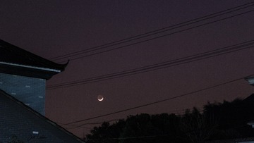 IMG_2001-1