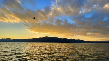 7A3C2180-8D7C-40EE-9AB0-86AAD24582DA/L0/001